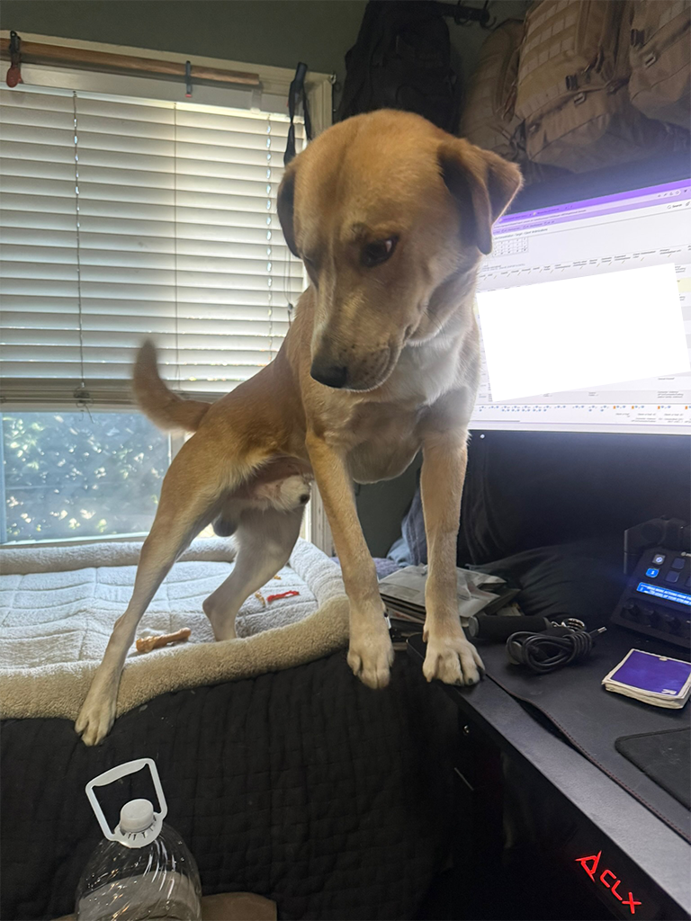Uncle Ruckus balancing between his bed and Dario's desk