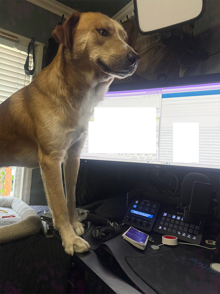 Uncle Ruckus standing beside Dario's redacted work monitor