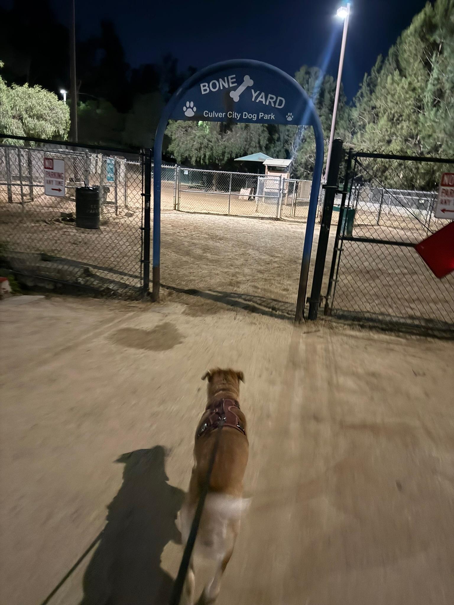 Uncle Ruckus approaching the entrance to the Bone Yard dog park at night